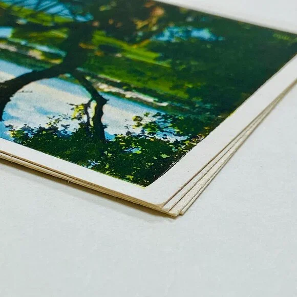 Genuine Antique 1920s Stanford University Memorabilia Postcards - Picture 13 of 13